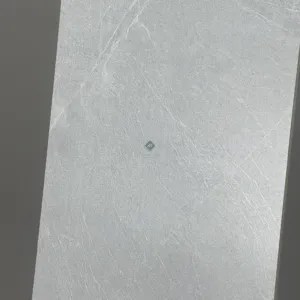 HCMC1.13ST - 30 x 60 cm STONE GẠCH VÂN ĐÁ GRANITE XÁM MỜ TỰ NHIÊN PORCELAIN GỐM SỨ THÂN GẠCH MÀU XÁM - Hình ảnh 3