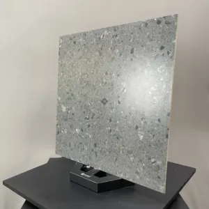 HCMC1.24TE TERRAZZO GẠCH VÂN SỎI ĐÁ TRỘN XI MĂNG MÀI - Hình ảnh 3