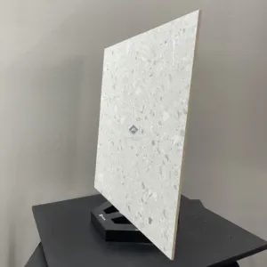 HCMC1.2TE TERRAZZO GẠCH VÂN SỎI ĐÁ TRỘN XI MĂNG MÀI - Hình ảnh 4