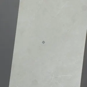 HCMD1.9ST - 30 x 60 cm STONE GẠCH VÂN ĐÁ GRANITE KEM MỜ TỰ NHIÊN PORCELAIN GỐM SỨ THÂN GẠCH MÀU XÁM - Hình ảnh 4