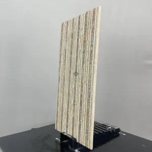 HCMD5.17AR ART GẠCH VÂN HỌA TIẾT NGHỆ THUẬT - Hình ảnh 4