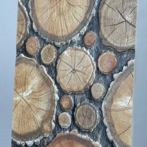 HCMD5.2AR ART GẠCH VÂN HỌA TIẾT NGHỆ THUẬT - Hình ảnh 6