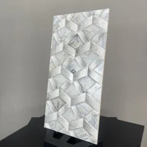 HCMD5.47AR ART GẠCH VÂN HỌA TIẾT NGHỆ THUẬT - Hình ảnh 3