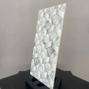 HCMD5.47AR ART GẠCH VÂN HỌA TIẾT NGHỆ THUẬT - Hình ảnh 4