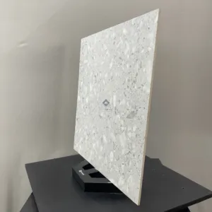 RVTD1.15TE TERRAZZO GẠCH VÂN SỎI ĐÁ TRỘN XI MĂNG MÀI - Hình ảnh 4