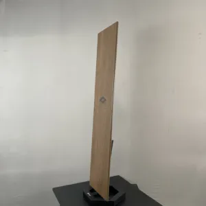 HCMD17.31WO WOOD GẠCH VÂN GỖ - Hình ảnh 4