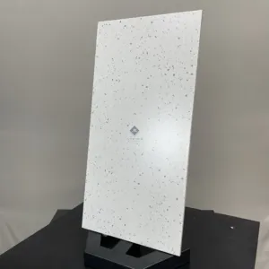 HCMP1.22TE TERRAZZO GẠCH VÂN SỎI ĐÁ TRỘN XI MĂNG MÀI - Hình ảnh 3