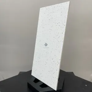 HCMP1.22TE TERRAZZO GẠCH VÂN SỎI ĐÁ TRỘN XI MĂNG MÀI - Hình ảnh 4