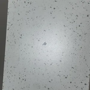 HCMP1.22TE TERRAZZO GẠCH VÂN SỎI ĐÁ TRỘN XI MĂNG MÀI - Hình ảnh 6