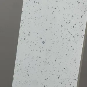 HCMP1.22TE TERRAZZO GẠCH VÂN SỎI ĐÁ TRỘN XI MĂNG MÀI - Hình ảnh 5