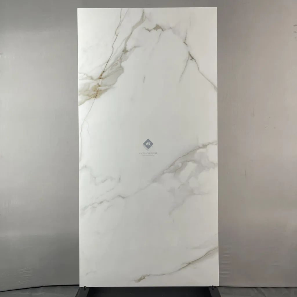 HCMD17.20ST STONE GẠCH VÂN ĐÁ GRANITE 60 x 120 cm