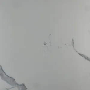 HCMD5.89MA MARBLE GẠCH VÂN ĐÁ MARBLE - Hình ảnh 8